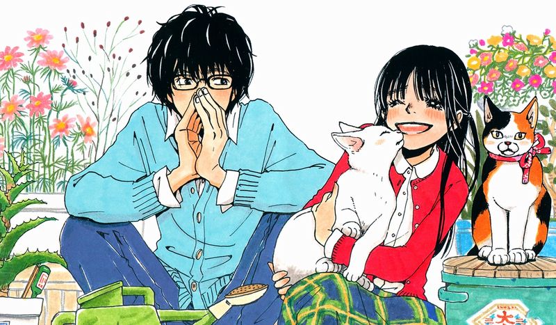 march-comes-in-like-a-lion rei.jpg march-comes-in-like-a-lion rei.jpg